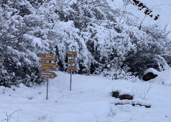 Bujtina Shpella E Plakes Cercan Librazhet