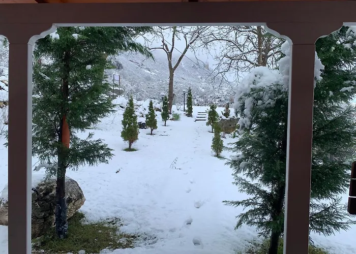 Bujtina Shpella E Plakes Cercan Apartament Librazhet