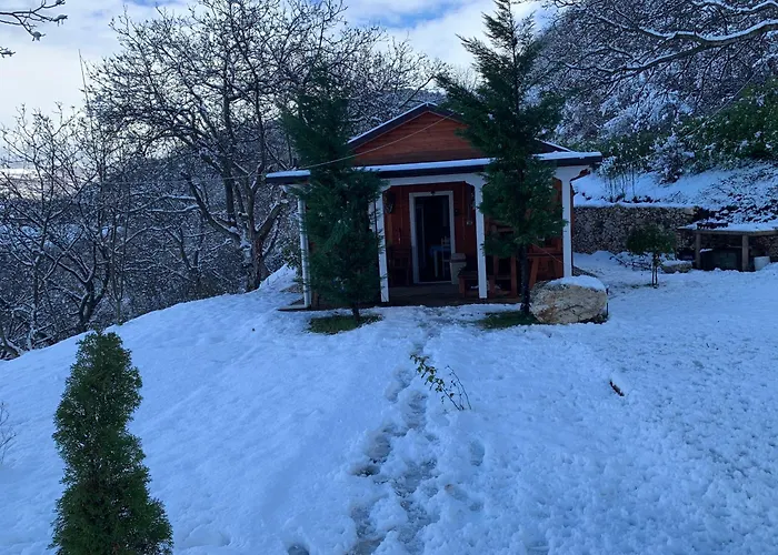 Bujtina Shpella E Plakes Cercan Librazhet