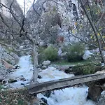 Bujtina Shpella E Plakes Cercan 公寓