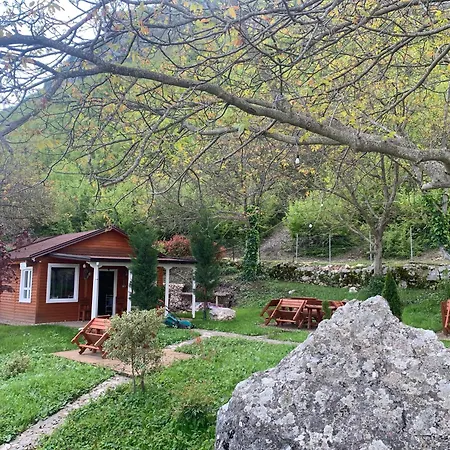 Bujtina Shpella E Plakes Cercan Librazhet